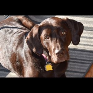 Meet your Posher, Suzanne